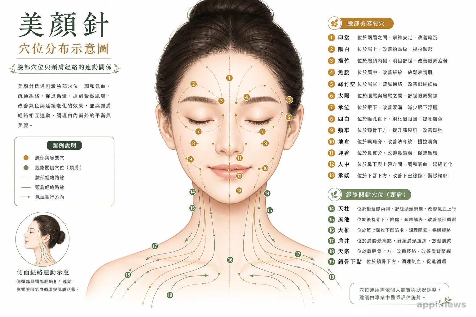 美顏針穴位分布示意圖，呈現臉部穴位與頸肩經絡的連動關係