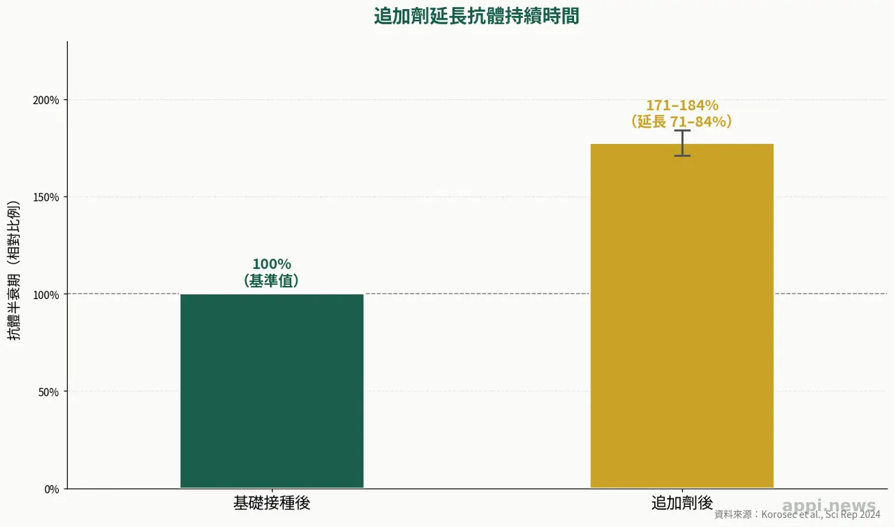 追加劑與基礎接種的抗體半衰期對比圖：追加劑比基礎接種延長71至84%的抗體持續時間