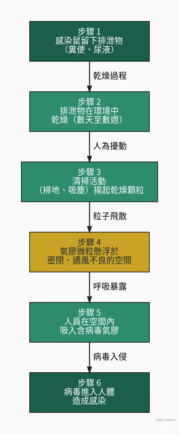 漢他病毒傳播路徑圖：感染鼠留排泄物→乾燥→清掃揚起→氣膠懸浮密閉空間→人吸入→感染