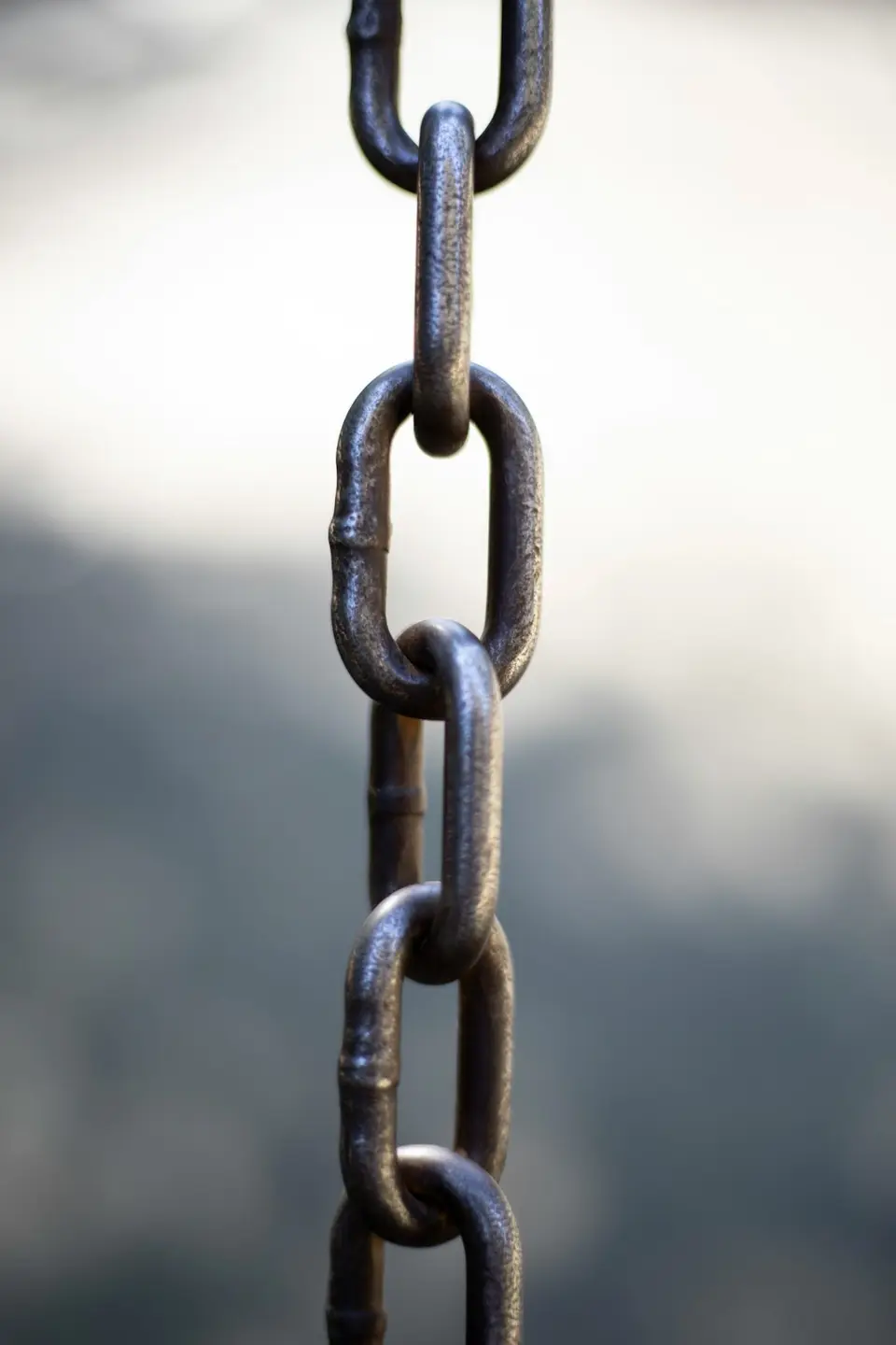 示意圖：單一鎖鏈環扣，象徵被單一供應商綁住
