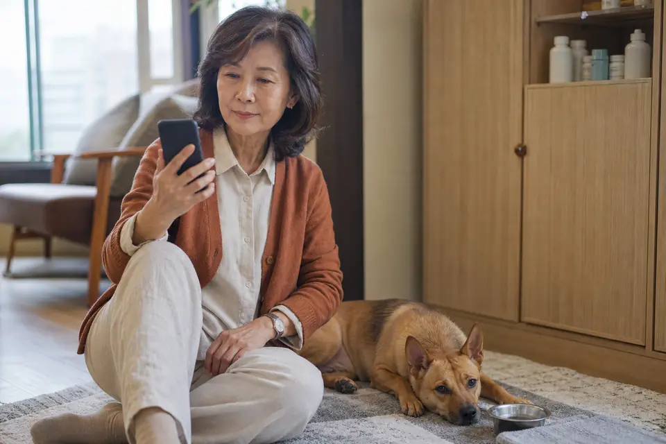 人用藥品收在狗狗拿不到的位置，狗狗在旁邊安全休息