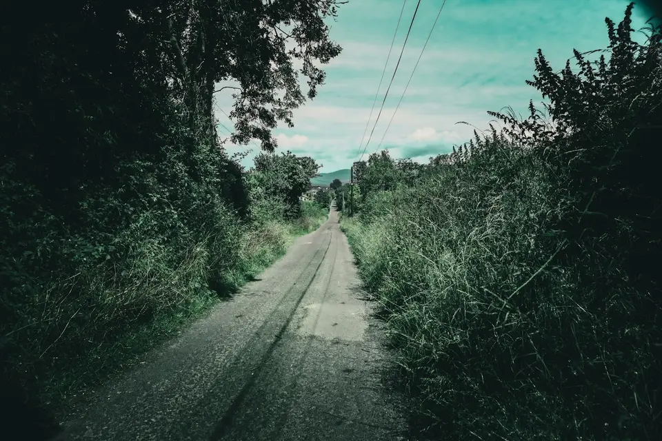 愛爾蘭鄉間道路（示意圖）