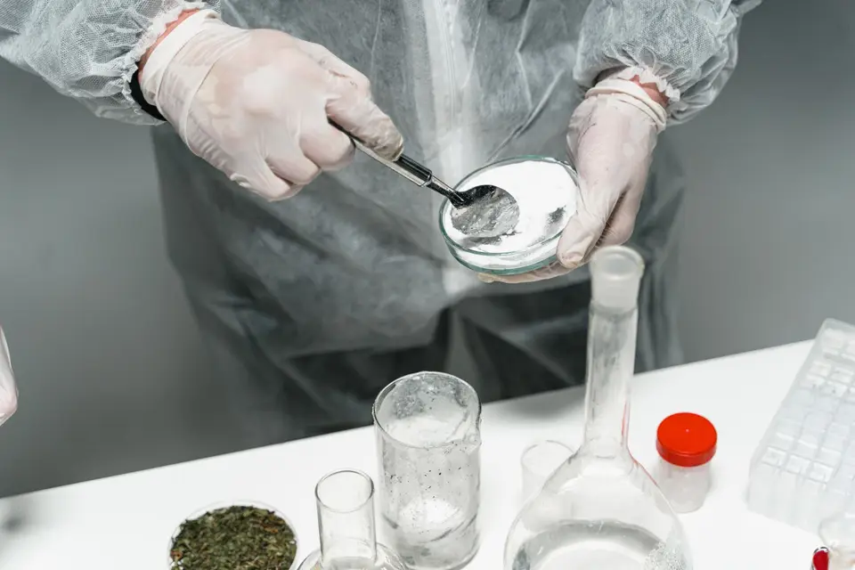 實驗室人員以防護手套檢視銀灰色粉末樣品