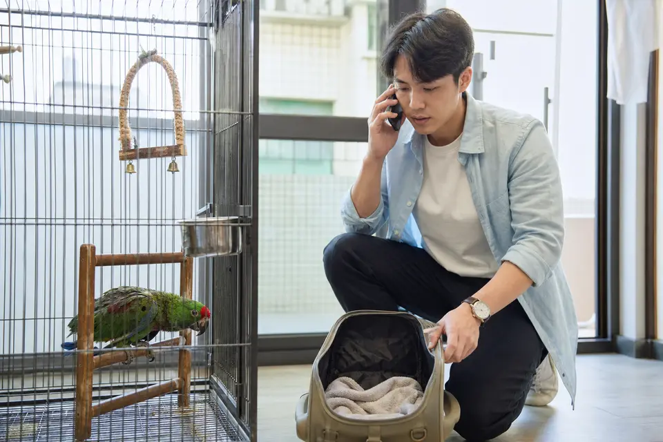 鸚鵡旁以禁止符號呈現責罵、強行抓握與自行處置等錯誤照護行為
