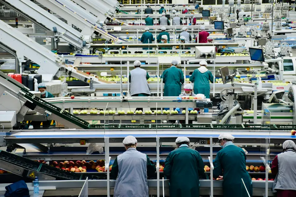 食品工廠生產線與品管作業，示意 GMP、HACCP、ISO 22000 管的是製造流程