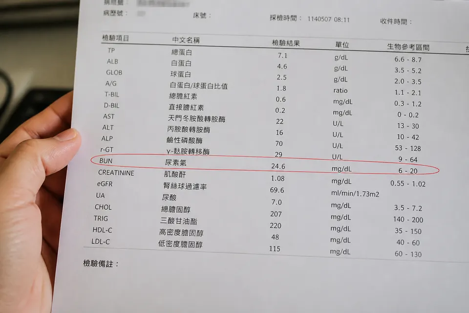 診間桌上攤開的抽血生化報告，尿酸數值以紅字標示，醫師用筆指著和病人討論